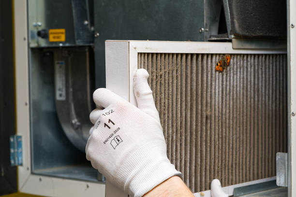 Best Home Air Vent Cleaning  in Garden City, MI